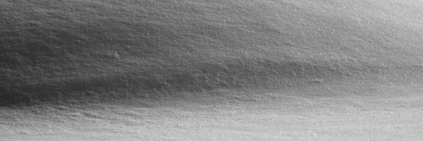 Twitter New Header Image 01529