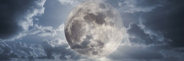 Twitter New Header Image 01537