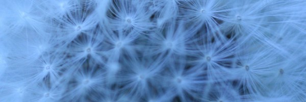 Twitter New Header Image 01542