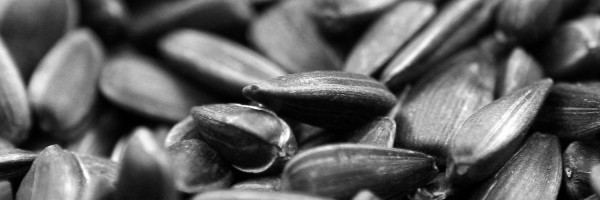 Twitter New Header Image 01543