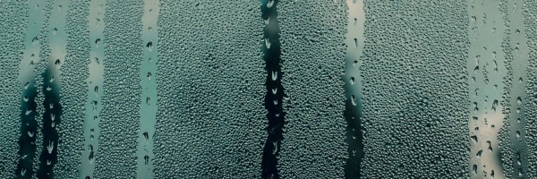 Twitter New Header Image 01546