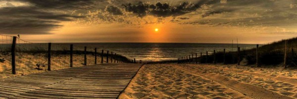 Twitter New Header Image 01547