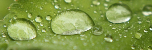 Twitter New Header Image 01549