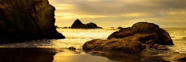 Twitter New Header Image 01551