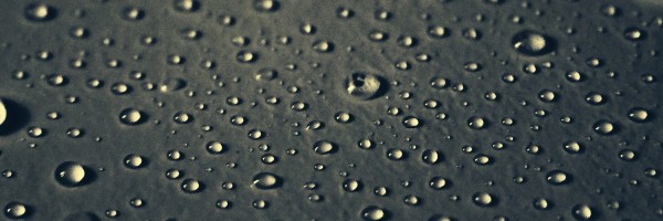 Twitter New Header Image 01564