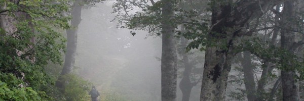 Twitter New Header Image 01565