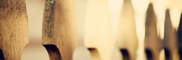 Twitter New Header Image 01577