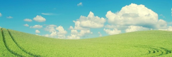 Twitter New Header Image 01585