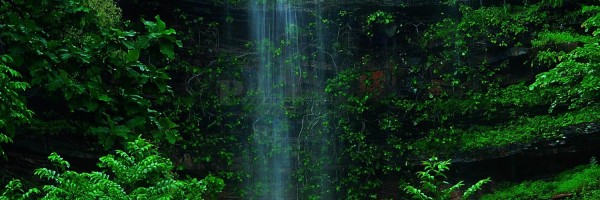 Twitter New Header Image 01588