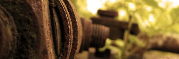 Twitter New Header Image 01592