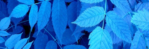 Twitter New Header Image 01604