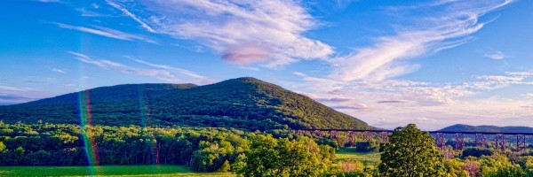 Twitter New Header Image 01619