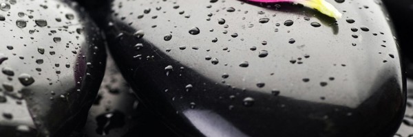 Twitter New Header Image 01624