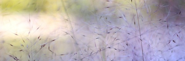 Twitter New Header Image 01674