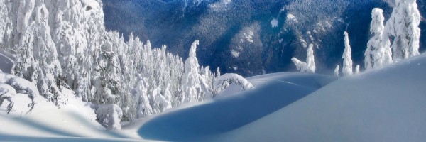 Twitter New Header Image 01675