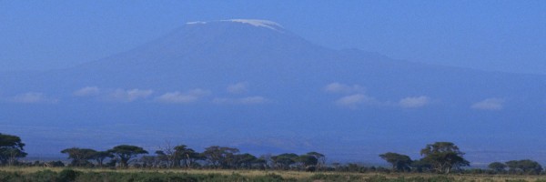 Twitter New Header Image 01696