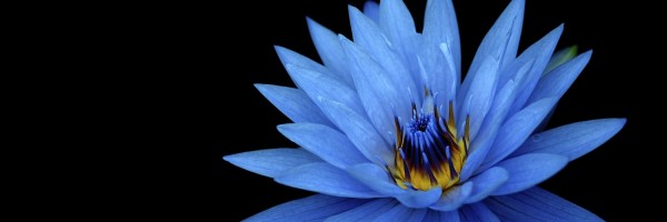 Twitter New Header Image 01699