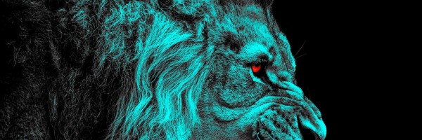 Twitter New Header Image 01702