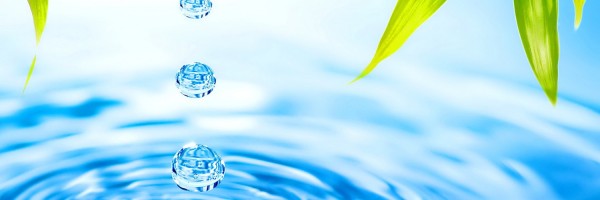 Twitter New Header Image 01715