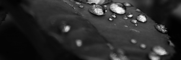 Twitter New Header Image 01716