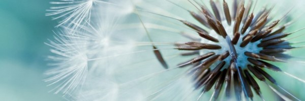 Twitter New Header Image 01718