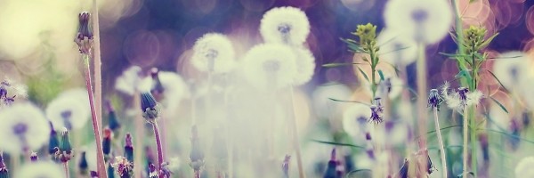 Twitter New Header Image 01720