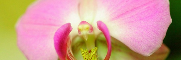 Twitter New Header Image 01728