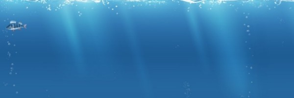 Twitter New Header Image 01733