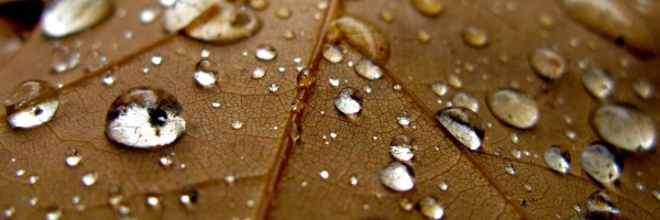 Twitter New Header Image 01742