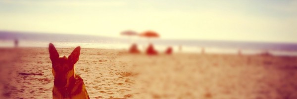 Twitter New Header Image 01747