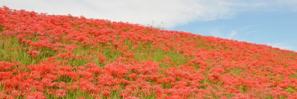 Twitter New Header Image 01749