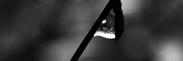 Twitter New Header Image 01753