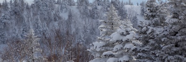 Twitter New Header Image 01757