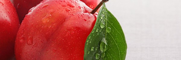 Twitter New Header Image 01762