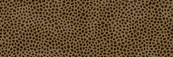 Twitter New Header Image 01771