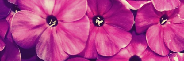 Twitter New Header Image 01793