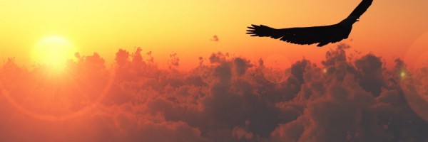 Twitter New Header Image 01794