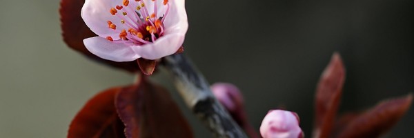 Twitter New Header Image 01812