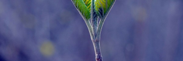 Twitter New Header Image 01814