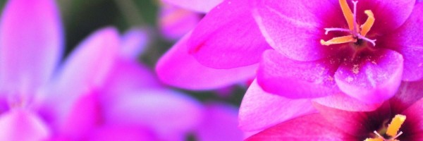 Twitter New Header Image 01816