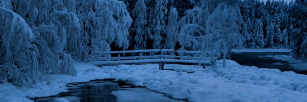 Twitter New Header Image 01826