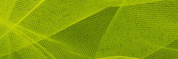 Twitter New Header Image 01831