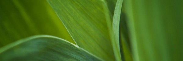 Twitter New Header Image 01832