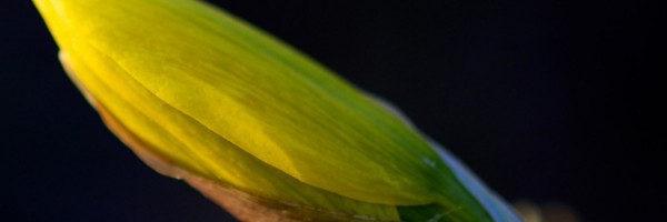 Twitter New Header Image 01839