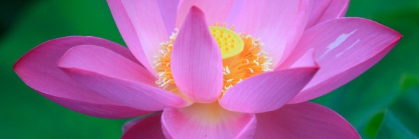 Twitter New Header Image 01846