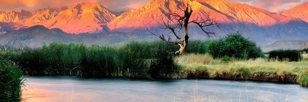 Twitter New Header Image 01849