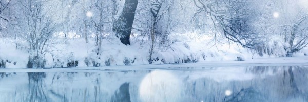 Twitter New Header Image 01850