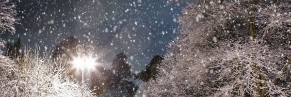 Twitter New Header Image 01851