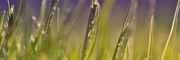 Twitter New Header Image 01852