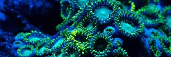 Twitter New Header Image 01854